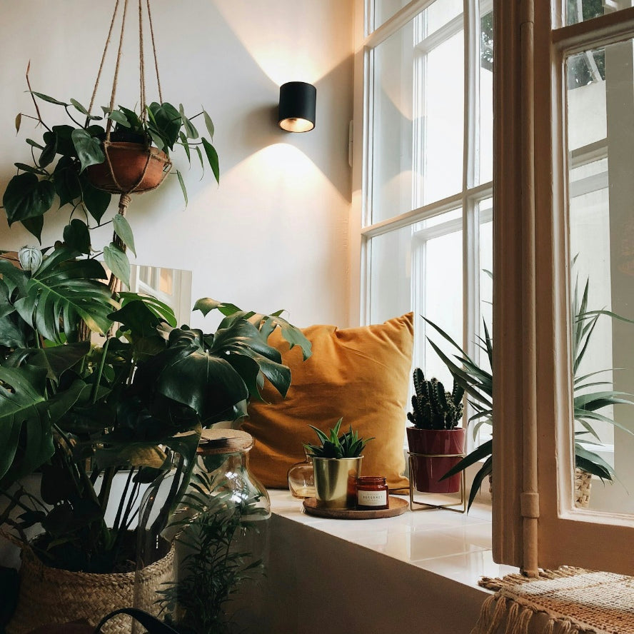 Sustainable Living: The Impact of Our Homes on the Environment - NORDIQE