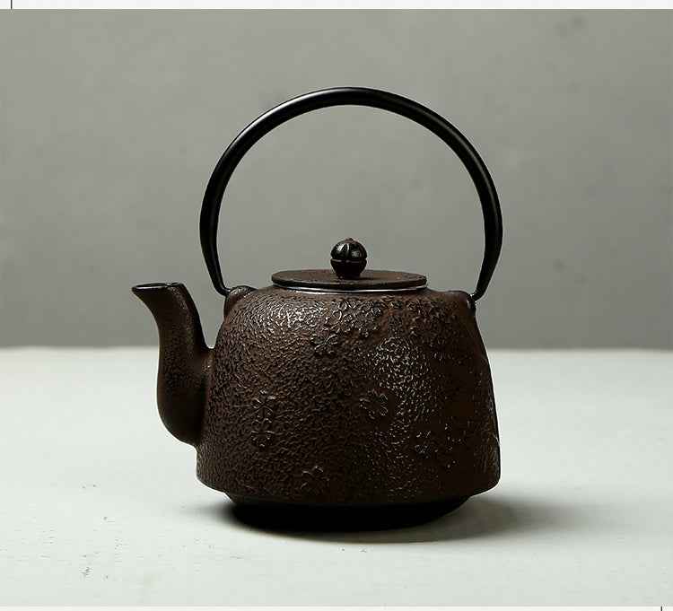 Can dry burn health pot - - bronze brown iron metal teapot