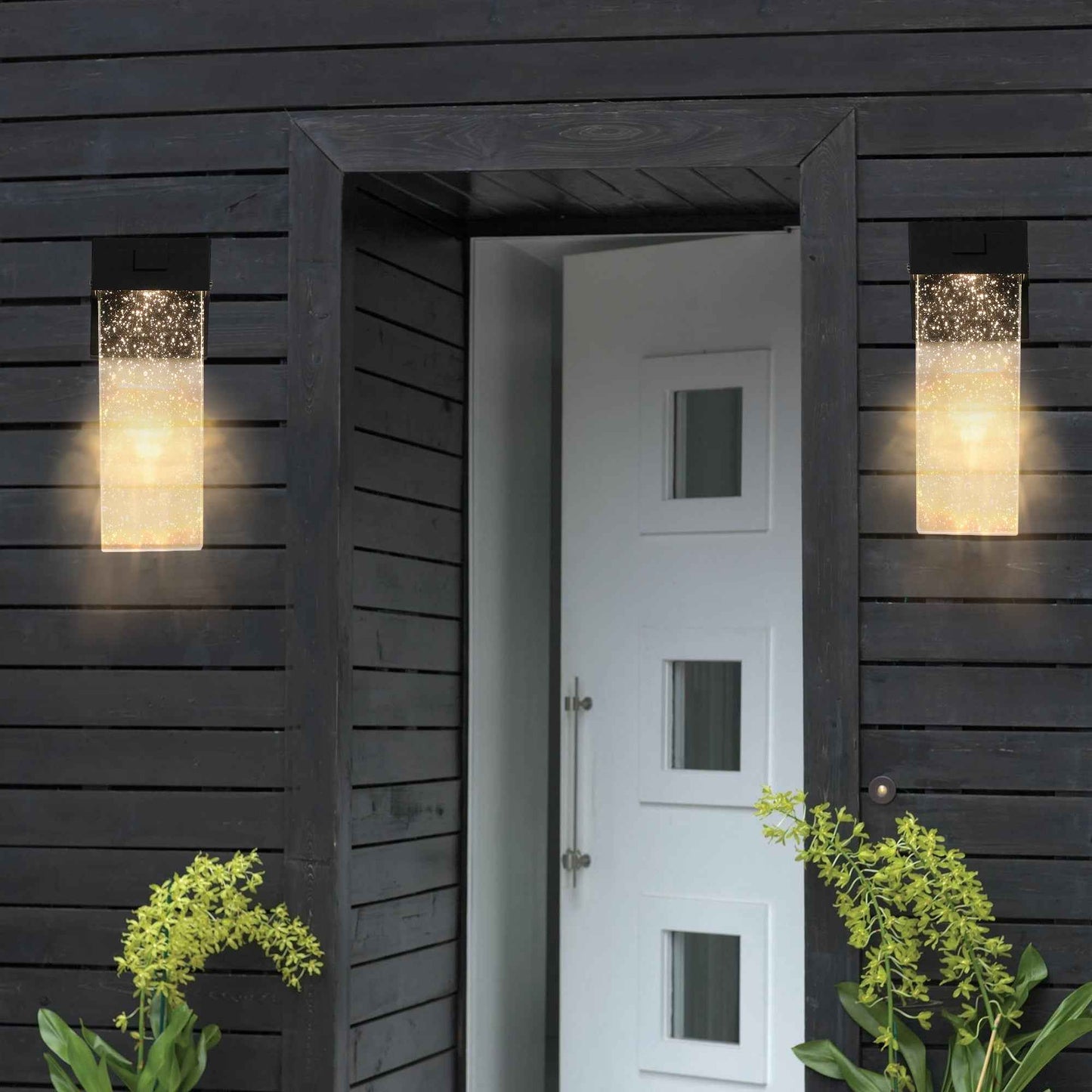 Cauteor 2-Pack Outdoor Wall Light Fixture | LED | Black - Default - garden led wall light